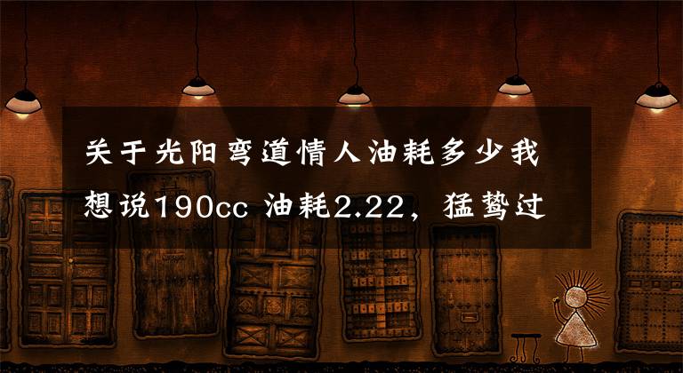 关于光阳弯道情人油耗多少我想说190cc 油耗2.22,猛鸷过大坑如履平地