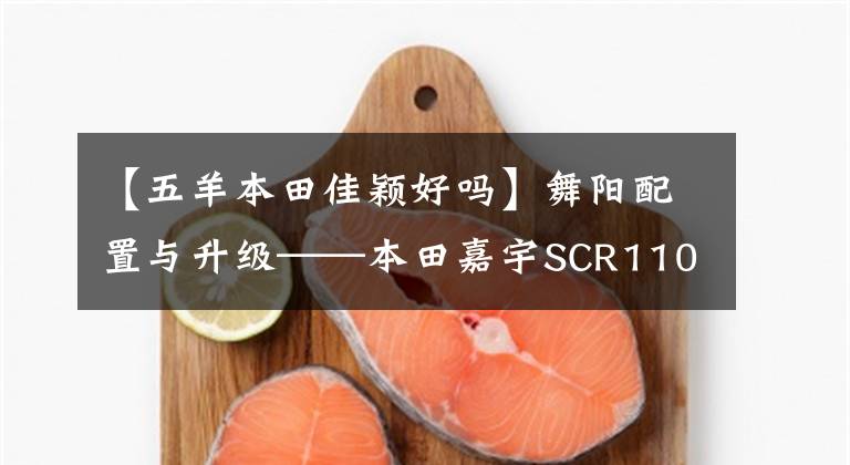 【五羊本田佳颖好吗】舞阳配置与升级——本田嘉宇SCR110实拍