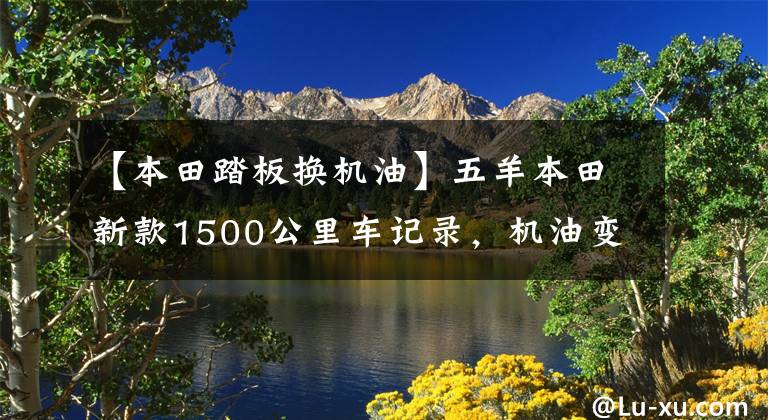 【本田踏板换机油】五羊本田新款1500公里车记录,机油变更,轮胎变更,撞车后体验。