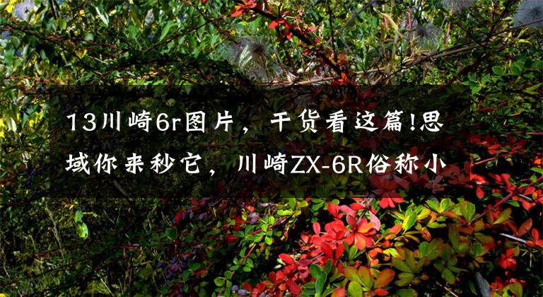 13川崎6r图片，干货看这篇!思域你来秒它，川崎ZX-6R俗称小牛，百公里加速仅3.2秒