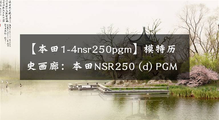 【本田1-4nsr250pgm】模特历史画廊:本田NSR250 (d) PGM-第三名