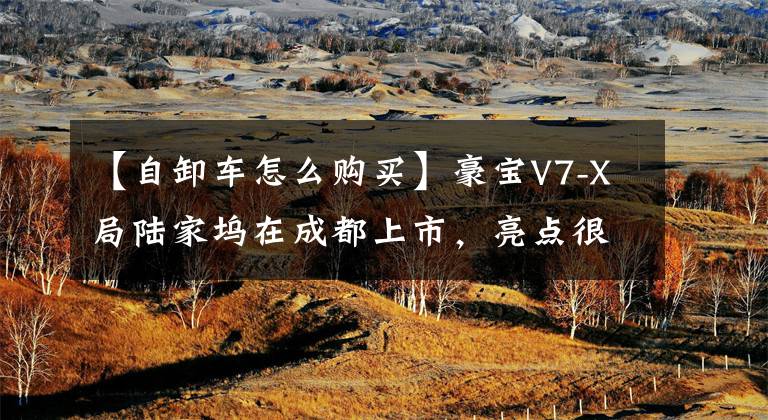 【自卸车怎么购买】豪宝V7-X局陆家坞在成都上市,亮点很多,掀起了购车热潮。