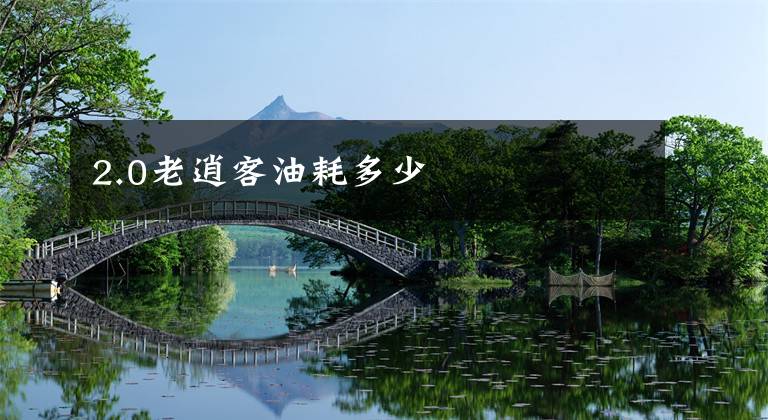 2.0老逍客油耗多少