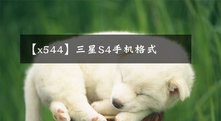 【x544】三星S4手机格式