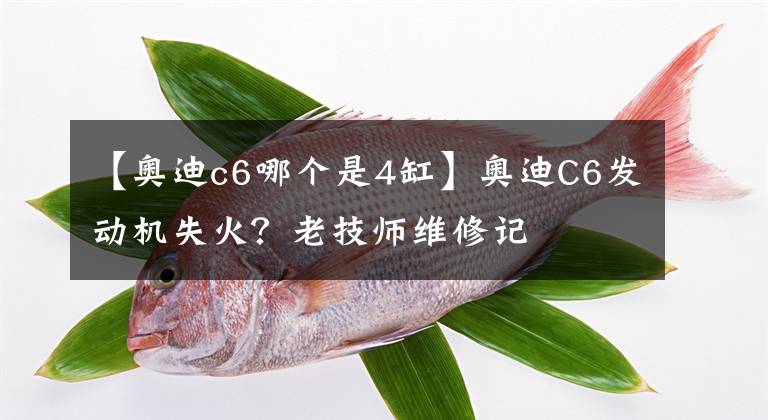 【奥迪c6哪个是4缸】奥迪C6发动机失火?老技师维修记