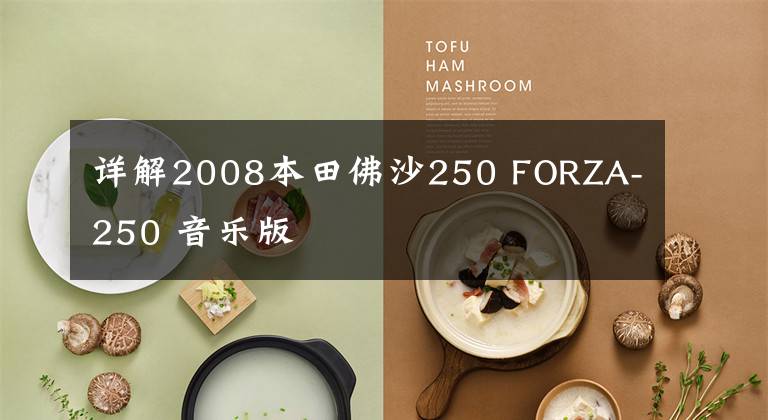 详解2008本田佛沙250 FORZA-250 音乐版