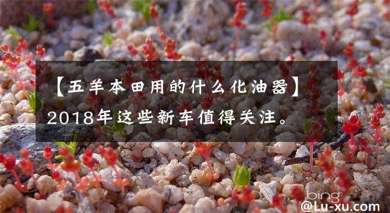 【五羊本田用的什么化油器】2018年这些新车值得关注。