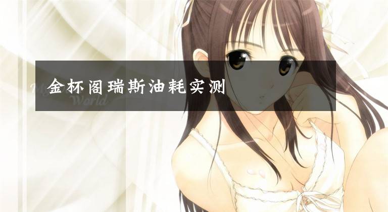 金杯阁瑞斯油耗实测