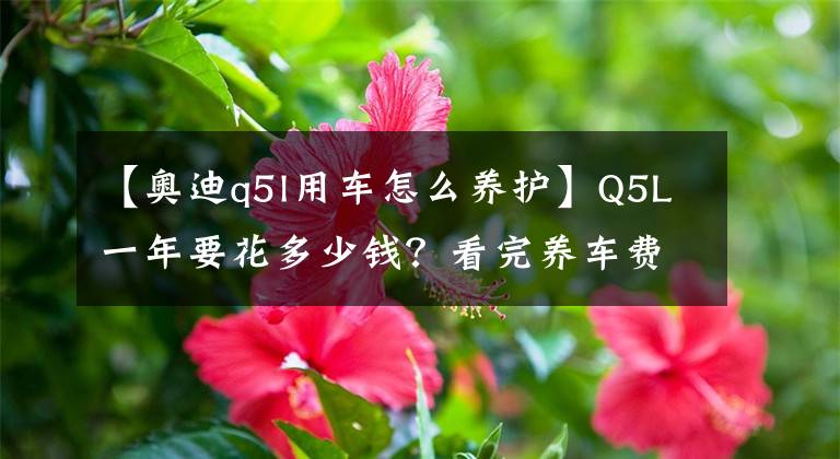 【奥迪q5l用车怎么养护】Q5L一年要花多少钱？看完养车费，车友：工资不够用