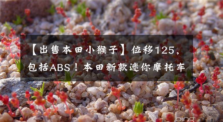 【出售本田小猴子】位移125,包括ABS!本田新款迷你摩托车小猴子亮相:售价2万多韩元