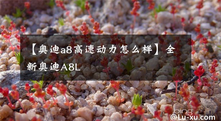 【奥迪a8高速动力怎么样】全新奥迪A8L