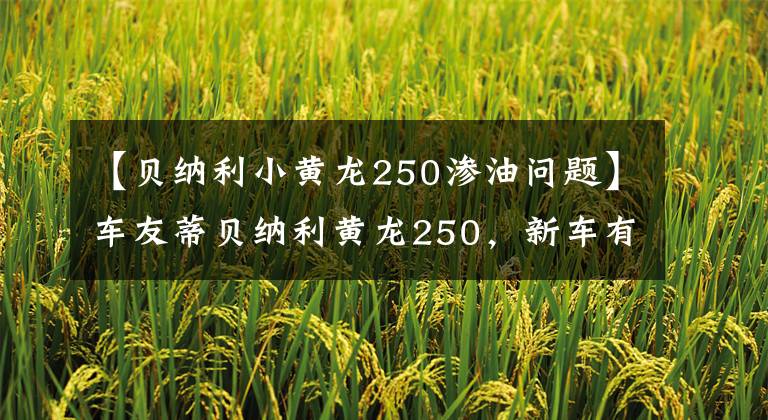 【贝纳利小黄龙250渗油问题】车友蒂贝纳利黄龙250，新车有问题，不坐GW也不后悔。