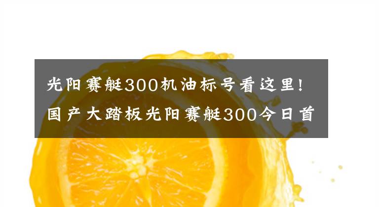 光阳赛艇300机油标号看这里!国产大踏板光阳赛艇300今日首发,高清细节图抢先看