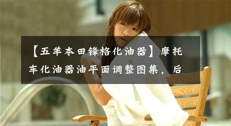 【五羊本田锋格化油器】摩托车化油器油平面调整图集,后期有同步视频讲解
