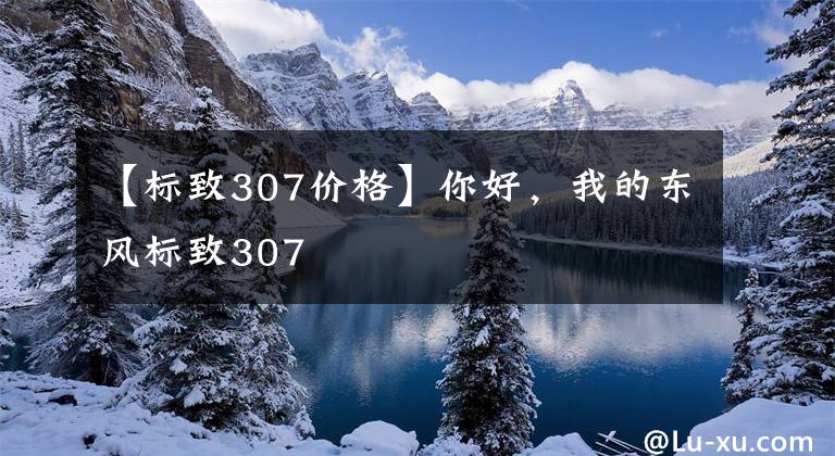 【标致307价格】你好，我的东风标致307