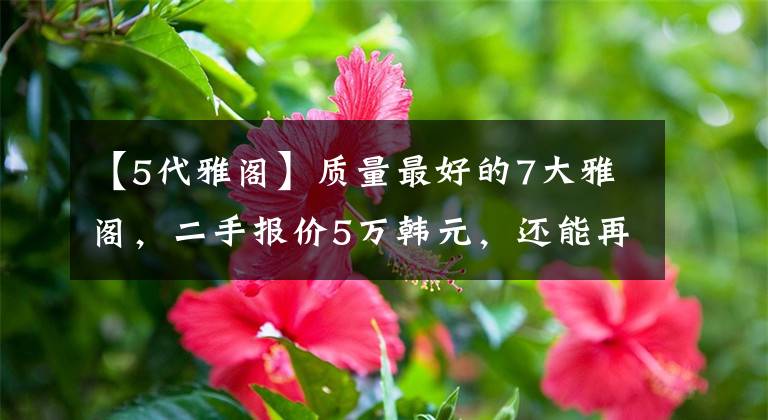 【5代雅阁】质量最好的7大雅阁，二手报价5万韩元，还能再跑10年