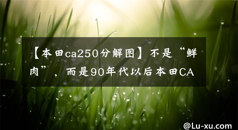 【本田ca250分解图】不是“鲜肉”，而是90年代以后本田CA250也超过了真名