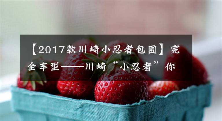 【2017款川崎小忍者包围】完全车型——川崎“小忍者”你都看清了吗?
