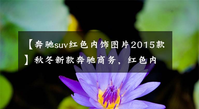 【奔驰suv红色内饰图片2015款】秋冬新款奔驰商务,红色内饰很温暖