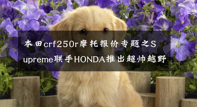 本田crf250r摩托报价专题之Supreme联手HONDA推出超帅越野车 骑这台把妹无往不利
