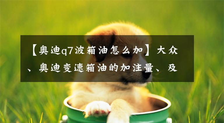 【奥迪q7波箱油怎么加】大众、奥迪变速箱油的加注量、及换油周期