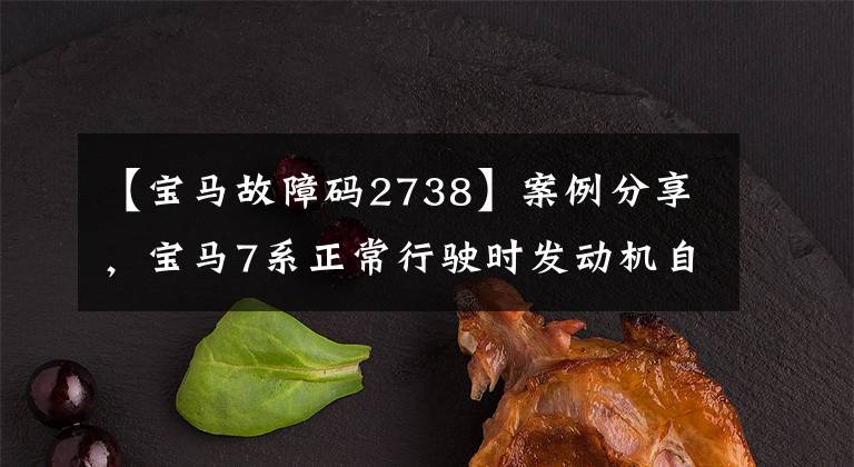 【宝马故障码2738】案例分享,宝马7系正常行驶时发动机自动加油门,油耗大。