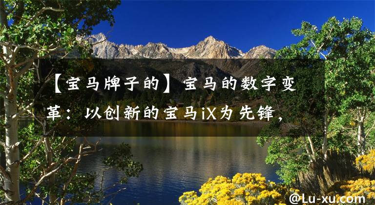 【宝马牌子的】宝马的数字变革:以创新的宝马iX为先锋,引领未来豪华旅行。