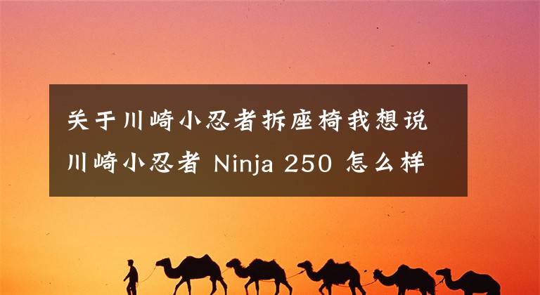 关于川崎小忍者拆座椅我想说川崎小忍者 Ninja 250 怎么样?想买的看进来