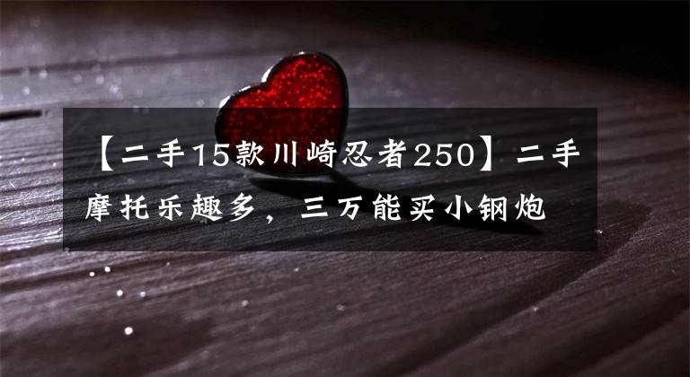 【二手15款川崎忍者250】二手摩托乐趣多,三万能买小钢炮丨视界