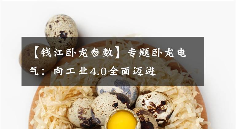 【钱江卧龙参数】专题卧龙电气：向工业4.0全面迈进