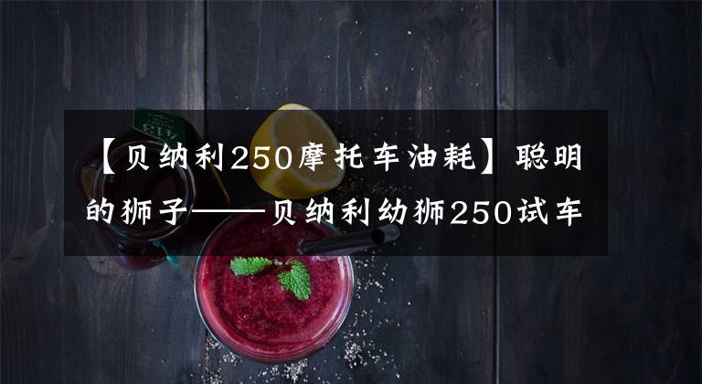 【贝纳利250摩托车油耗】聪明的狮子——贝纳利幼狮250试车报告