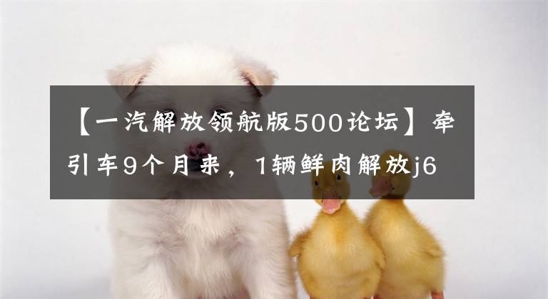 【一汽解放领航版500论坛】牵引车9个月来，1辆鲜肉解放j6 500马力航海版准新车