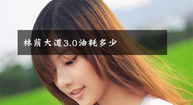 林荫大道3.0油耗多少