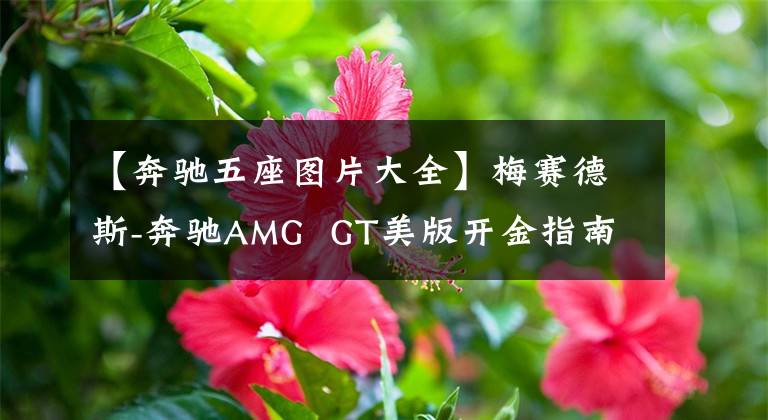 【奔驰五座图片大全】梅赛德斯-奔驰AMG GT美版开金指南,增加5个名次的选项