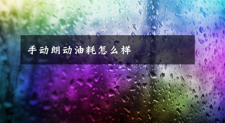 手动朗动油耗怎么样