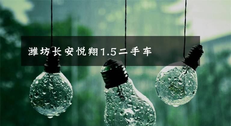潍坊长安悦翔1.5二手车