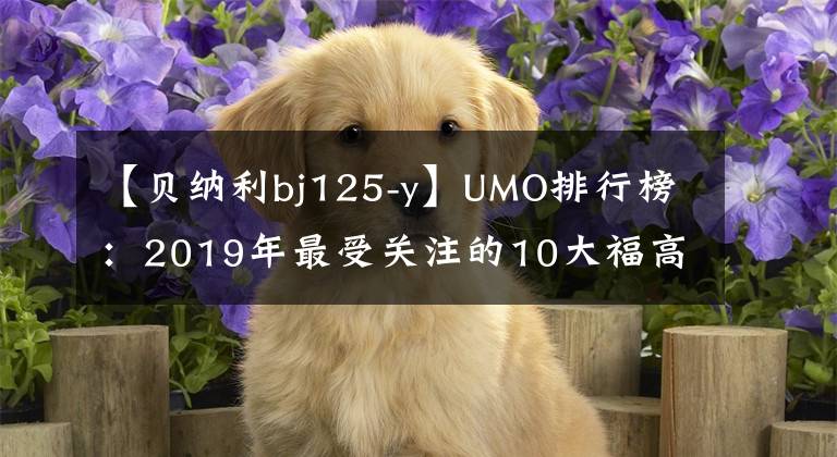 【贝纳利bj125-y】UMO排行榜:2019年最受关注的10大福高奖。