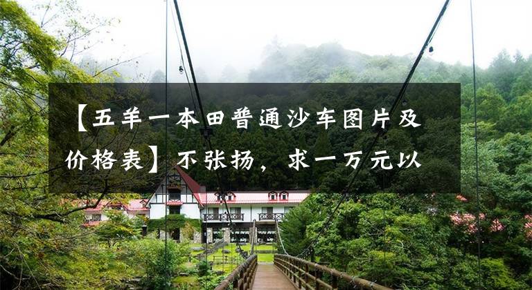 【五羊一本田普通沙车图片及价格表】不张扬,求一万元以内的小滑板车,以实用性为主的车型。