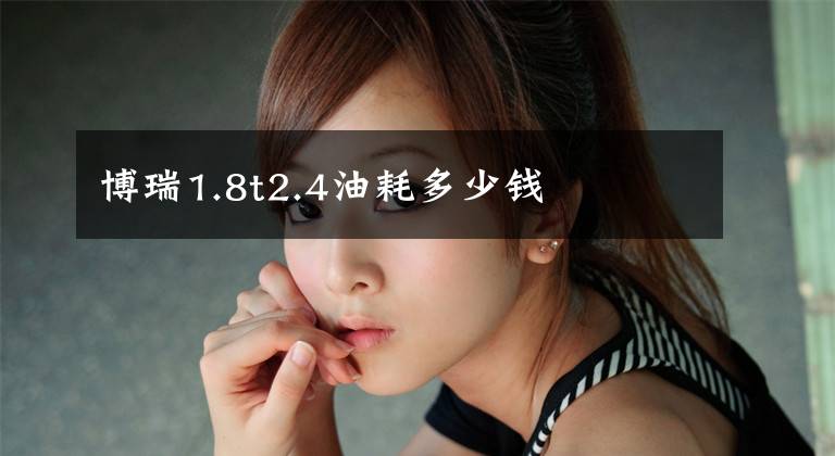 博瑞1.8t2.4油耗多少钱