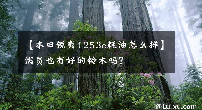 【本田锐爽1253e耗油怎么样】满员也有好的铃木吗？