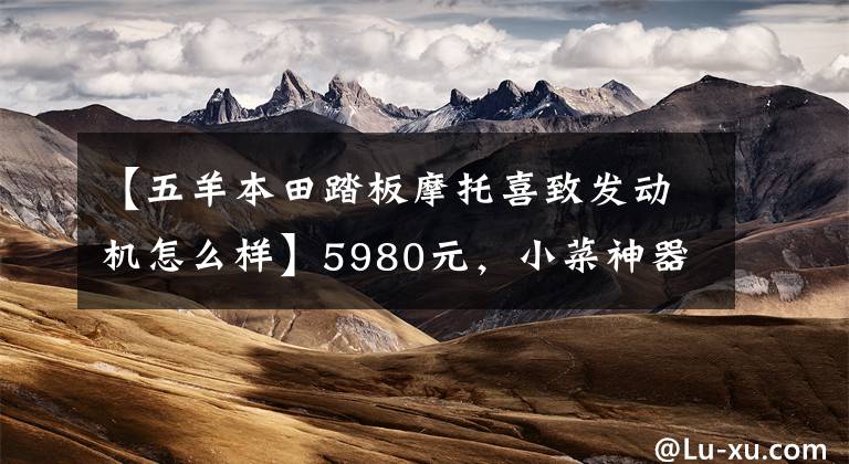 【五羊本田踏板摩托喜致发动机怎么样】5980元,小菜神器终极PK:铃木西蒙125VS本田125(上图)