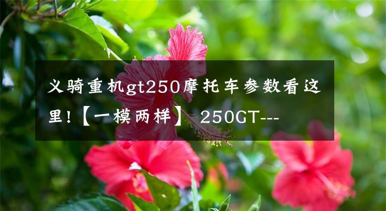 义骑重机gt250摩托车参数看这里!【一模两样】 250GT---  冬日