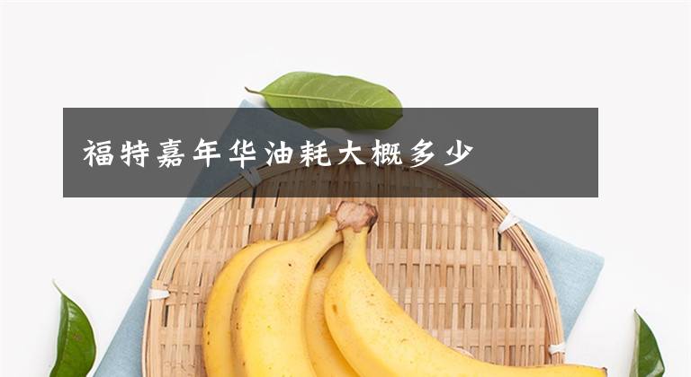 福特嘉年华油耗大概多少