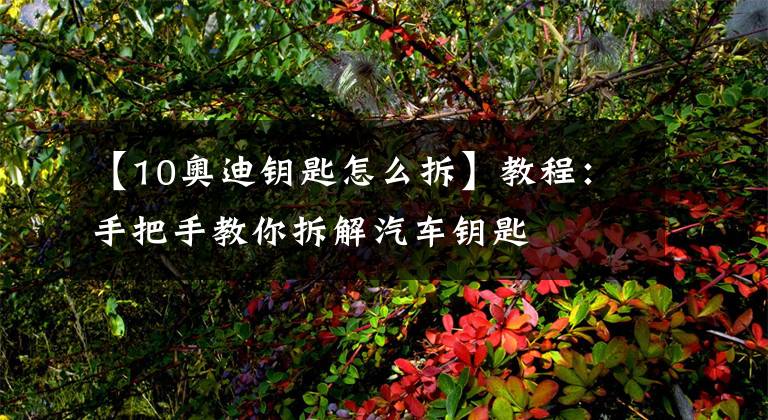 【10奥迪钥匙怎么拆】教程：手把手教你拆解汽车钥匙