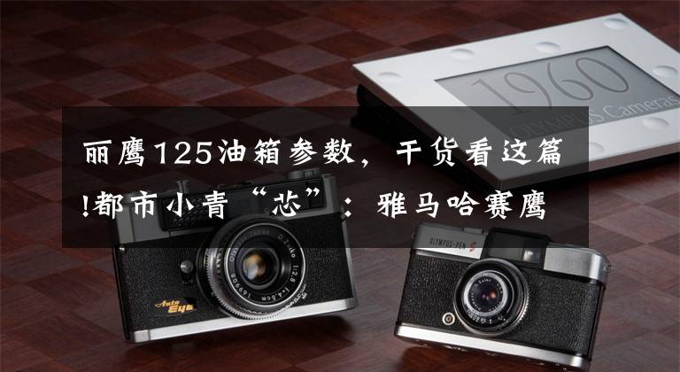 丽鹰125油箱参数,干货看这篇!都市小青“芯”:雅马哈赛鹰125评测