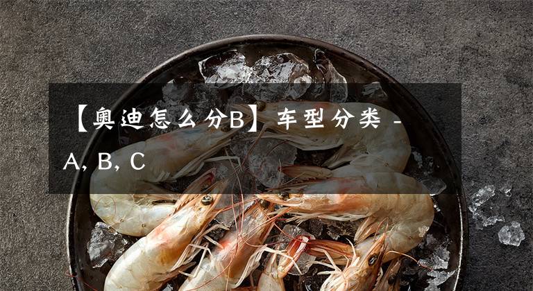 【奥迪怎么分B】车型分类 - A, B, C