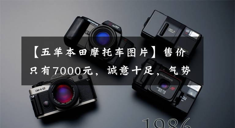 【五羊本田摩托车图片】售价只有7000元，诚意十足，气势汹汹。对“五羊本田喜鲨125”的简要评论。