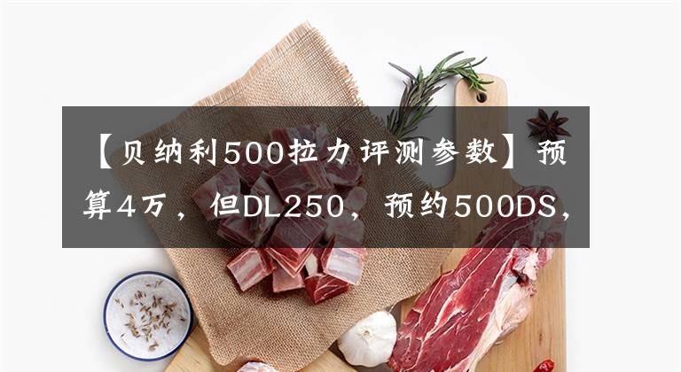 【贝纳利500拉力评测参数】预算4万,但DL250,预约500DS,你看怎么样?