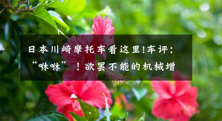日本川崎摩托车看这里!车评:“咻咻”!欲罢不能的机械增压,体验川崎Z H2