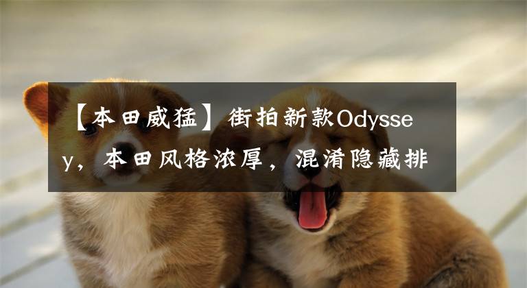 【本田威猛】街拍新款Odyssey，本田风格浓厚，混淆隐藏排气，新造型更加帅气。